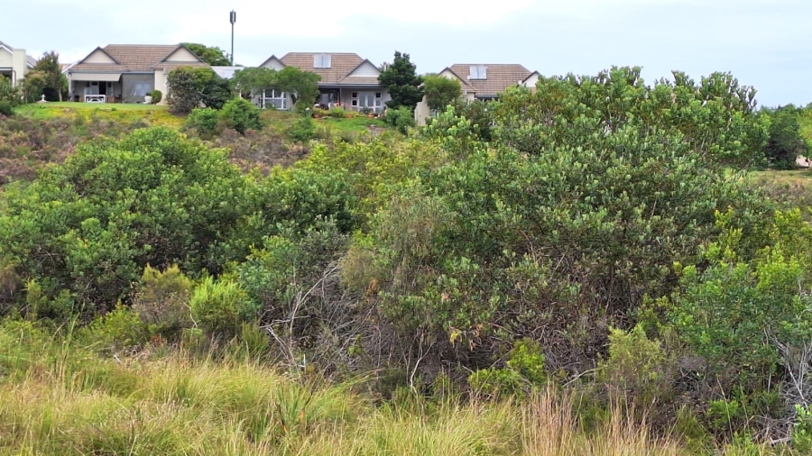 0 Bedroom Property for Sale in Baron View Western Cape